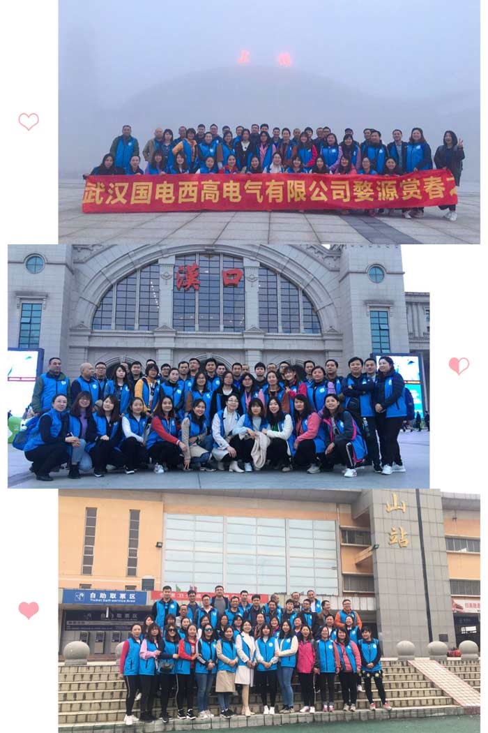 國電西高邂逅最美的春天——婺源賞花之旅