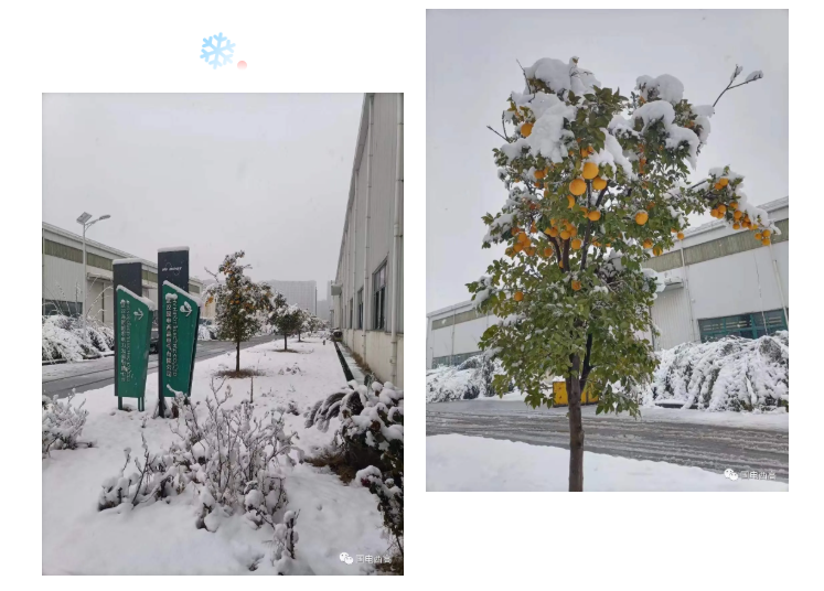 瑞雪兆豐年，開工大吉！